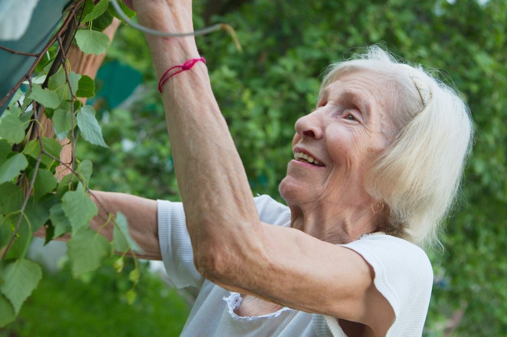 the old lady, grandma, garden